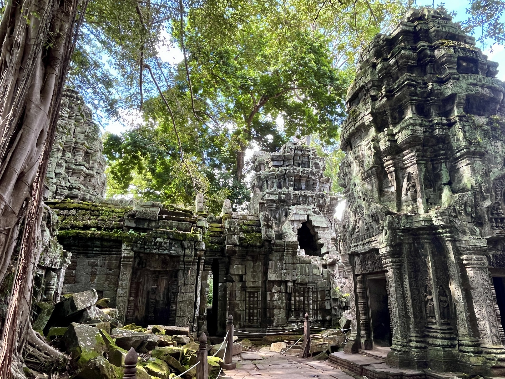 Ta Prohm : flâner dans le temple mangé par la jungle